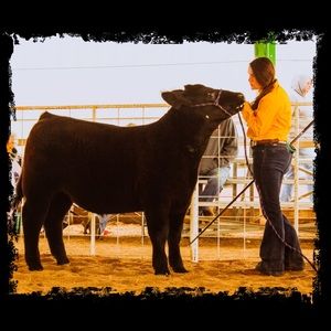 Meet your Posher, Madison